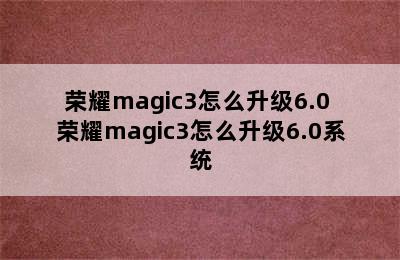 荣耀magic3怎么升级6.0 荣耀magic3怎么升级6.0系统